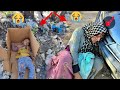тАЬRescue In The Wilderness A MotherтАЩs JourneyтАЭЁЯШнЁЯШн тАЬRescue In The Wilderness A MotherтАЩs JourneyтАЭЁЯШнЁЯШн