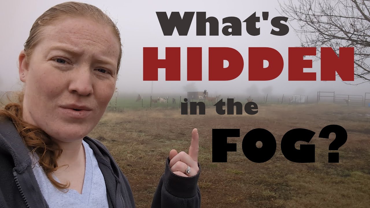 Unsettle Farming System Example Unsettled animals and counting down to kidding | Farm vlog - YouTube