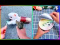 Tik Tok Chó Phốc Sóc Mini 2023 😍 Funny and Cute Pomeranian #492