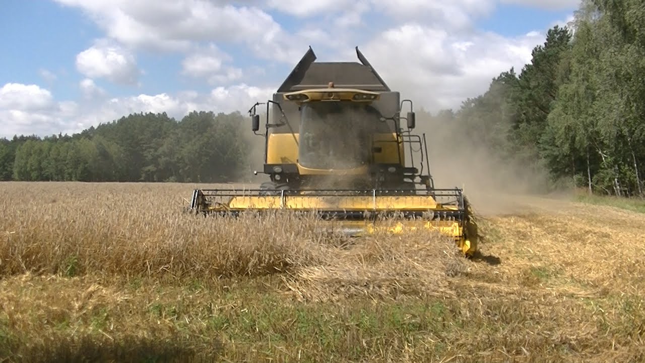 Koszenie żyta 2020 New Holland w Akcji !!