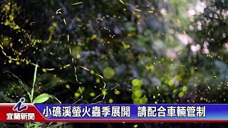 小礁溪螢火蟲季展開請配合車輛管制 