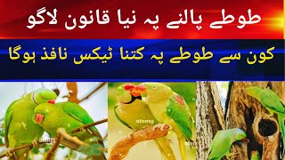 Wild Life Department And Alexande Ringnecks Parrots | Raw parrots breeding process