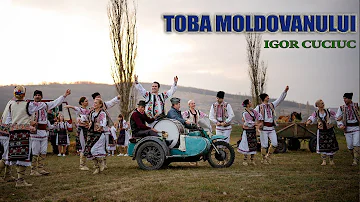 Igor Cuciuc-Toba Moldoveanului NEW 2018 | video VIOMARK