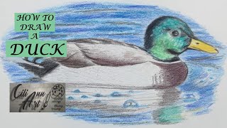 How To Draw A Duck Easy  Step By Step Duck Pencil Drawing