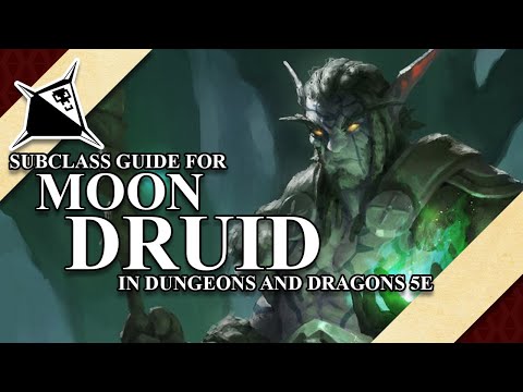 Moon Druid Subclass Guide for Dungeons and Dragons 5e