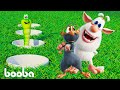 Booba 🙃 The Sportsman ⚽🎯 Interesting Cartoons Collection 💚 Moolt Kids Toons Happy Bear⚽🎯