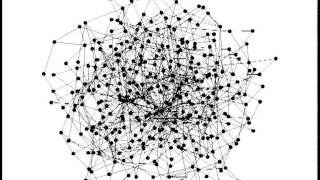 Barabàsi-Albert preferential attachment graph - Example Wealth