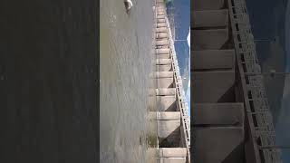 Fırat Nehrinin Barajında Balık Tutmaya Çalışan İnsanlar. Resimi