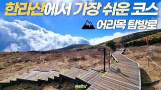 가장 쉬운 코스로 한라산 오르다ㅣ어리목 코스ㅣ 6.8km 3시간ㅣ대한민국 가장 높은 산