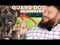 The Best GUARD DOG BREEDS FOR FIRST TIME OWNERS!
