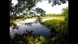 Haven Hill Lake, Highland Recreation Area, White Lake, MI (2018)