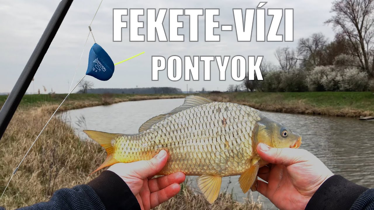 Horgászat rakósbottal a tavaszi csatornán - Dimakfishing 1.rész