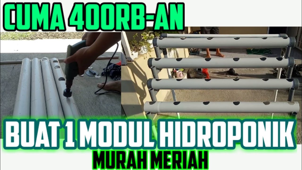 Cara Membuat Hidroponik Paralon Murah | Hanya 400 ribuan Buat Hidroponik Paralon Murah
