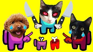 Gato vs perro en AMOUNG US con mis gatos graciosos Luna y Estrella / Videos de gatitos chistosos