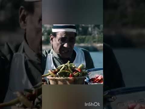 نويت اهاجر على طنطا