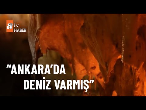 Ankara’da denizin kalıntıları mağaradan çıktı - atv Ana Haber 28 Ocak 2023