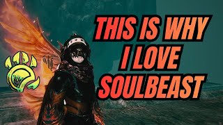 This Is Why I Love Soulbeast Gw2 Wvw Solo Roaming