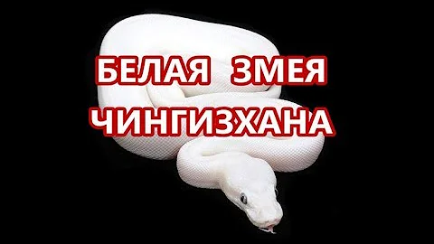 БЕЛАЯ ЗМЕЯ ЧИНГИЗХАНА