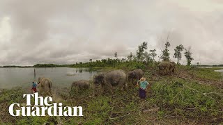 &#39;Happiness and sadness always coexist&#39;: Ai Weiwei&#39;s first virtual reality artwork Omni