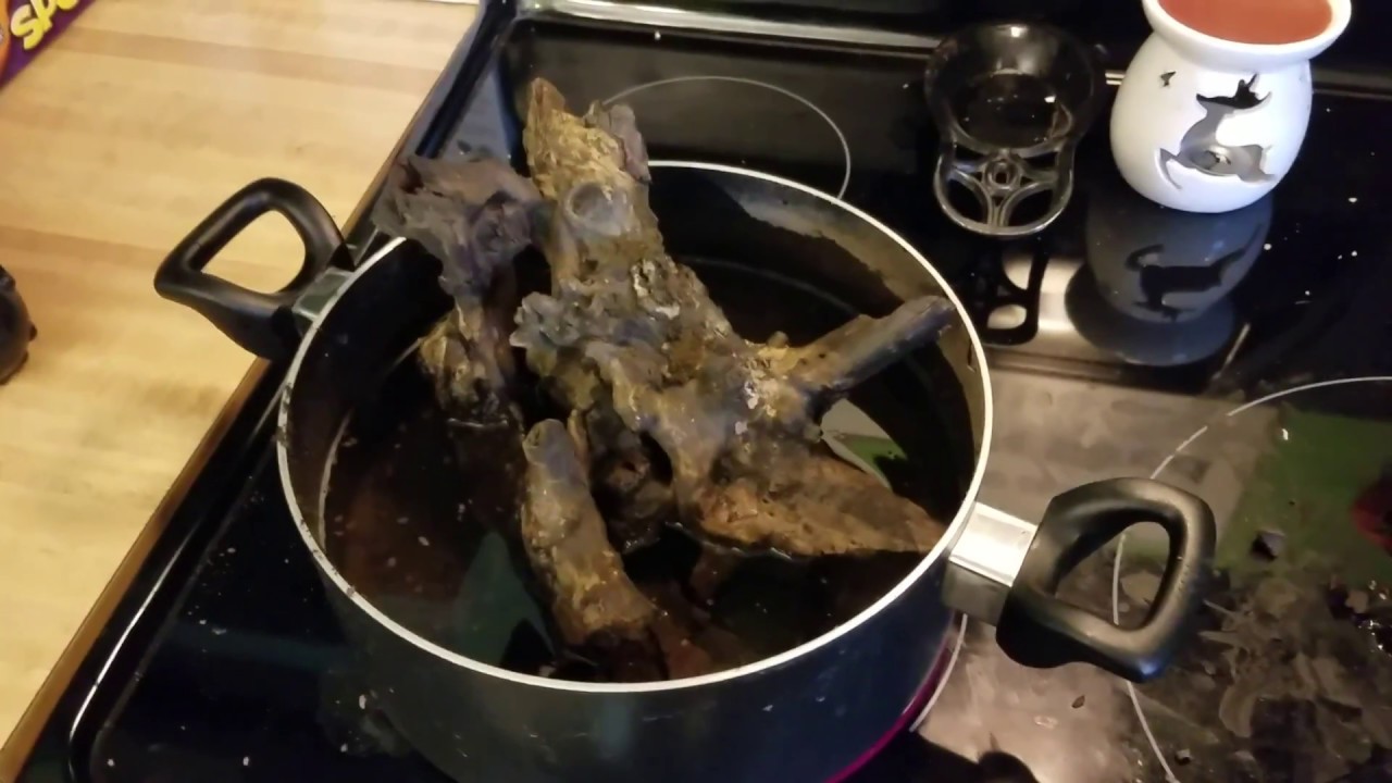 Let's boil some wood. YouTube