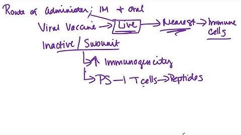 Vaccines: Boosting Immunogenicity