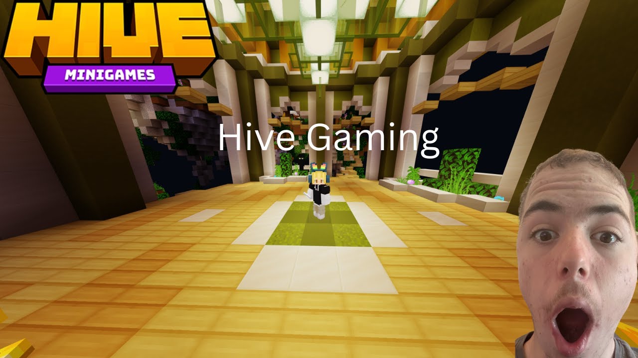 Hive Network Gameplay But ARMADILO SWEEP!!! - YouTube