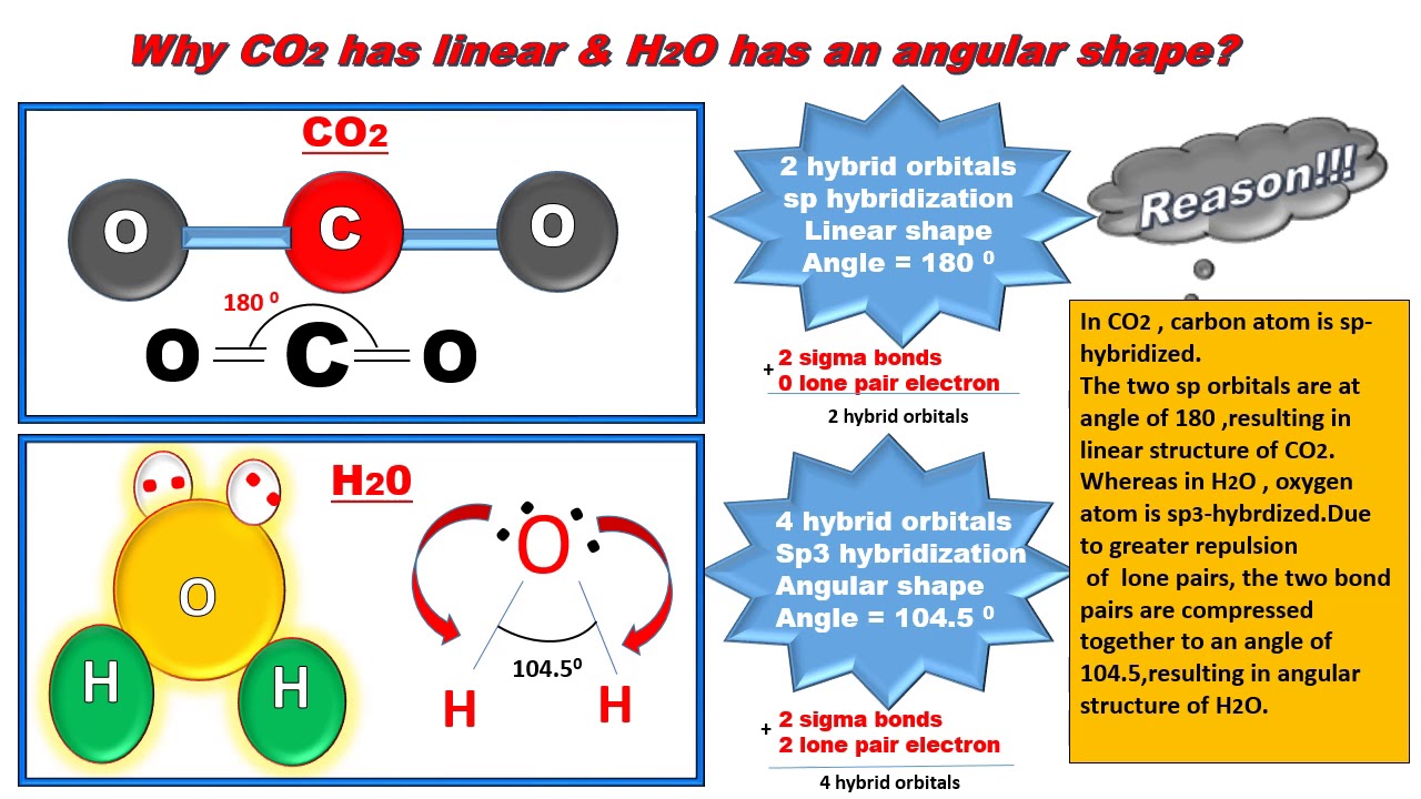 Почему h 2. H2(co3)3 молекула. Hybridization of co2. Angular Shape. How many Atoms in total are a molecule of Carbon dioxide.