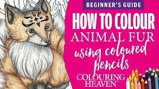 BEGINNER'S GUIDE: How to Colour Realistic Animal Fur | Fantasy Creatures Colouring Tutorial