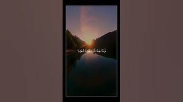 وَيا قَومِ اعمَلوا عَلى مَكانَتِكُم _ قران كريم  _ محمد ايوب🎧🌷 #اجر_لي_ولكم #اكسبلور #قرآن