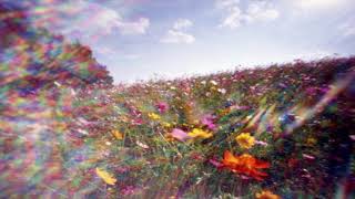 My First Death - 1P-LSD & Cannabis Trip Report #1 My First Death - 1P-LSD & Cannabis Trip Report #1