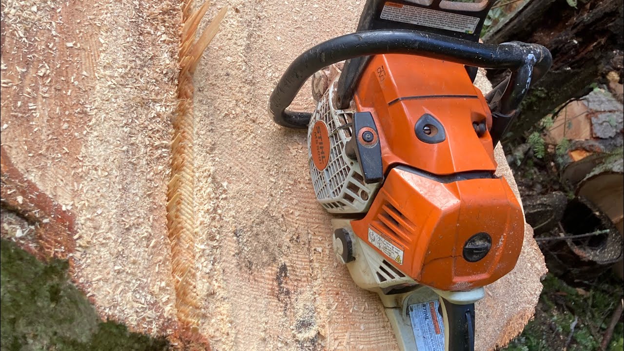 Storm damage tree removal - YouTube