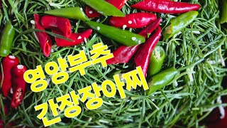 영양부추 간장 장아찌 만드는법