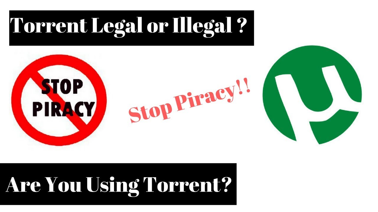 The Legal and Illegal Aspects of Torrent Omega Short The Legal and Illegal Aspects of Torrent Omega Short