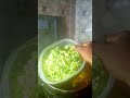 Let's make Okra soup and stew