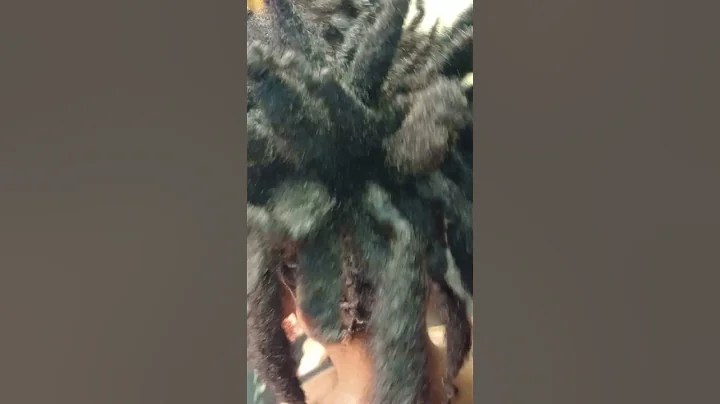 Loc retwist and updo in Tucson and Sierra Vista Arizona 52080 82465 or 520 3894499 texting is better