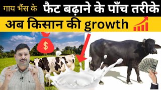 गाय भैंस की फेट बढ़ाने के 5 तरीके ✌🏻Cow Milk Fat Increase Tips hindi