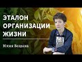 Параллельные миры. Биосфера и техносфера. Биосферизм