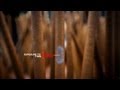 Forensic Toxicology and Hair Analysis