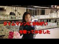 「タイムマシーンにおねがい」をカラオケでうたってみました!!