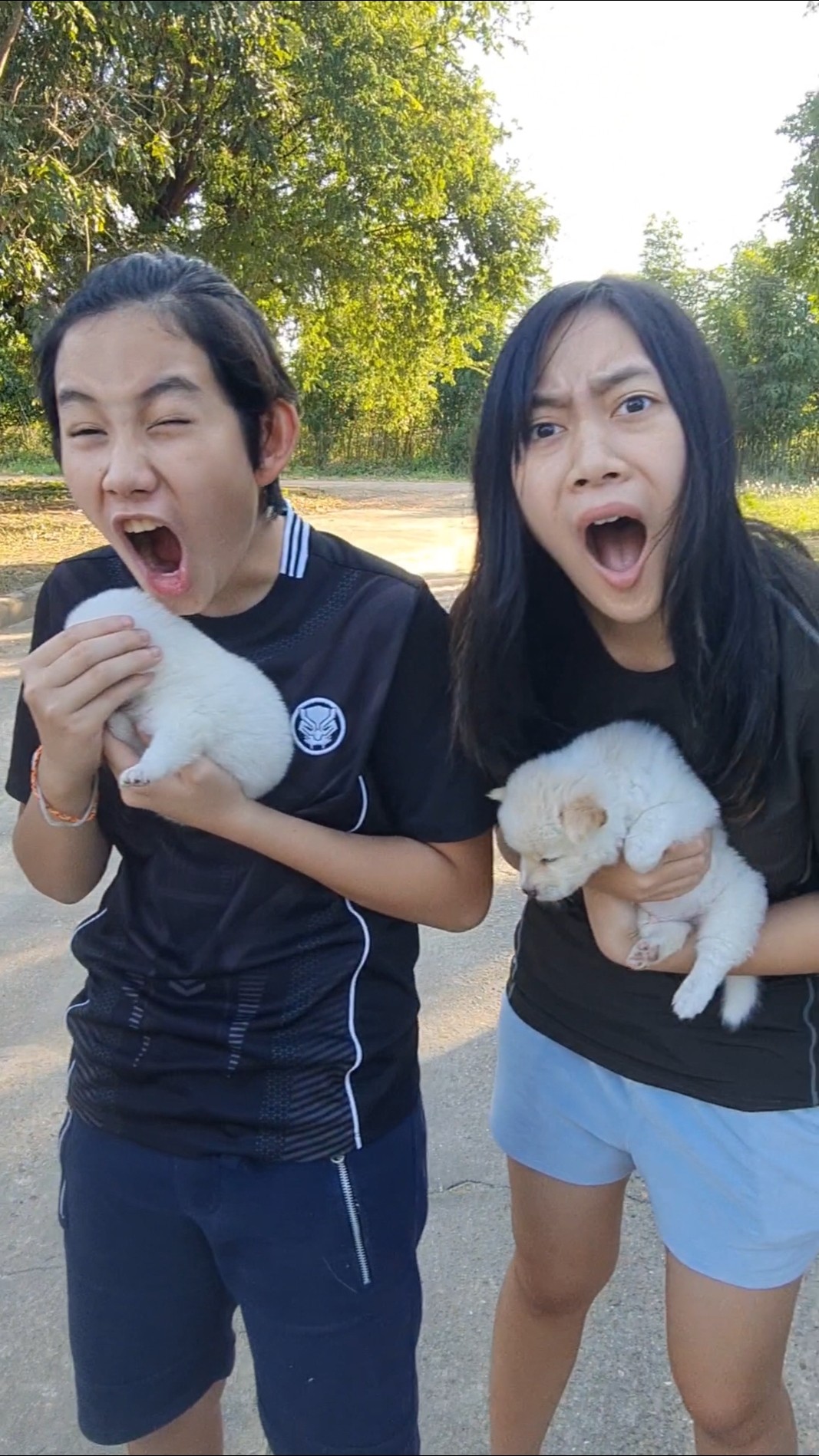 4Funny Kids‼️ and Cuter Puppy? Boom Boom  | JJaiPan #Shorts