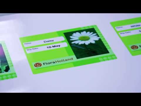 Variable Data Printing