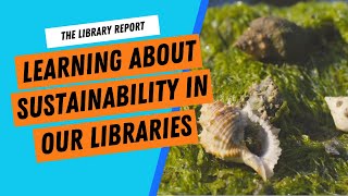 Exploring the Intertidal Zone and Marine Sustainability | The Library Report #47