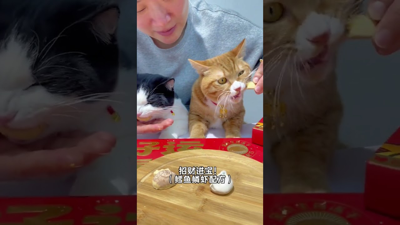 #The main food freeze-dried New Year s Eve dinner of Xiaomedou Guizhen Cat Food comes in t