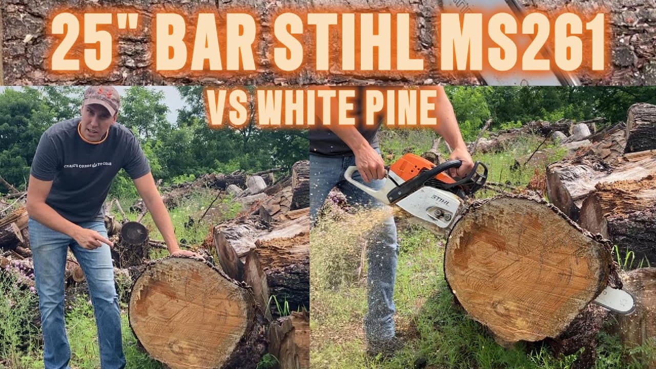 25 Inch Bar Stihl MS261 Chainsaw - Just for Fun - YouTube