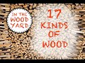 #57 - Firewood Splitting - 17 different kinds of wood!