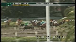 Carr.5 Premio: Freud (USA) 11-07-2017