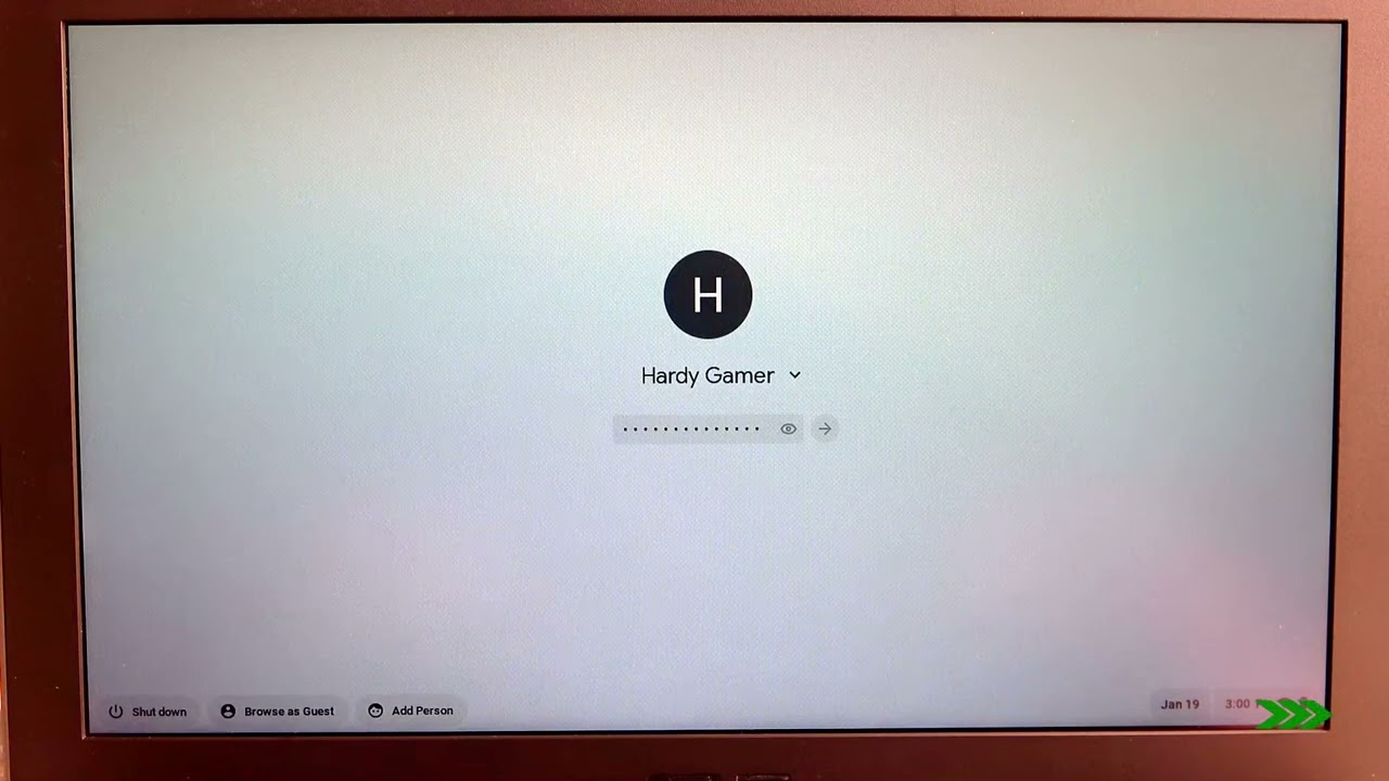 Asus Chromebook Flip C214: как отключить сенсорный экран