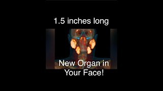 New organ in your face Mandela Effect 2020