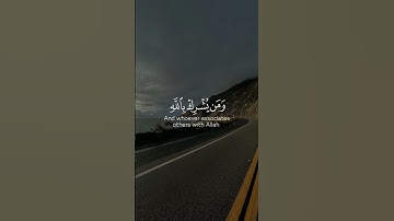 إن الله لا يغفر أن يشرك به | سورة النساء | القارئ سعد الغامدي #explore