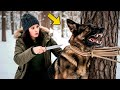Она нашла немецкую овчарку К9, привязанную к дереву... То, что произошло дальше, шокировало всех....